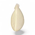 caciocavallo silano 600g